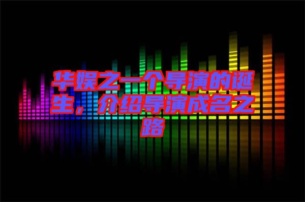 華娛之一個導演的誕生，介紹導演成名之路