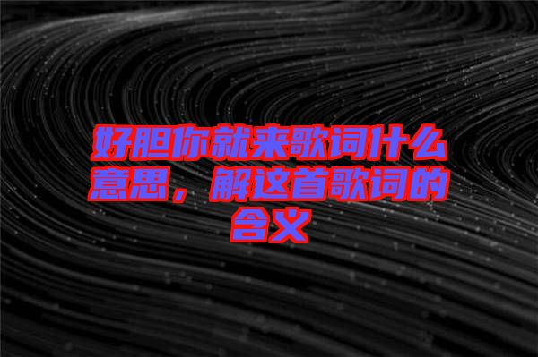 好膽你就來(lái)歌詞什么意思，解這首歌詞的含義