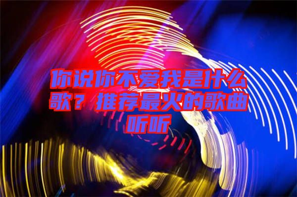 你說你不愛我是什么歌？推薦最火的歌曲聽聽