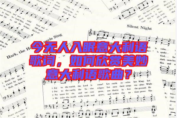 今無人入眠意大利語歌詞，如何欣賞美妙意大利語歌曲？