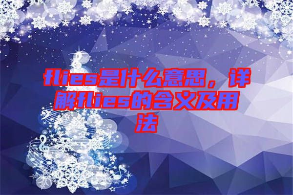 flies是什么意思，詳解flies的含義及用法