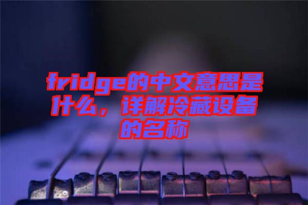 fridge的中文意思是什么，詳解冷藏設備的名稱