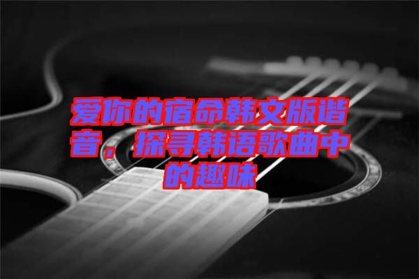 愛你的宿命韓文版諧音，探尋韓語歌曲中的趣味