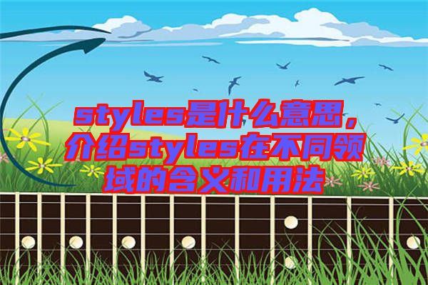 styles是什么意思，介紹styles在不同領域的含義和用法