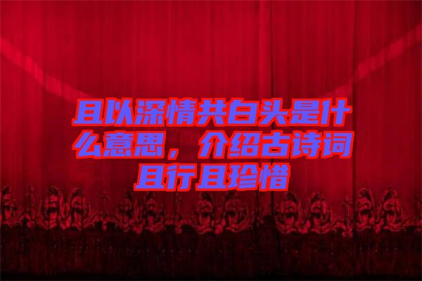 且以深情共白頭是什么意思，介紹古詩(shī)詞且行且珍惜