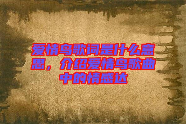 愛情鳥歌詞是什么意思，介紹愛情鳥歌曲中的情感達(dá)