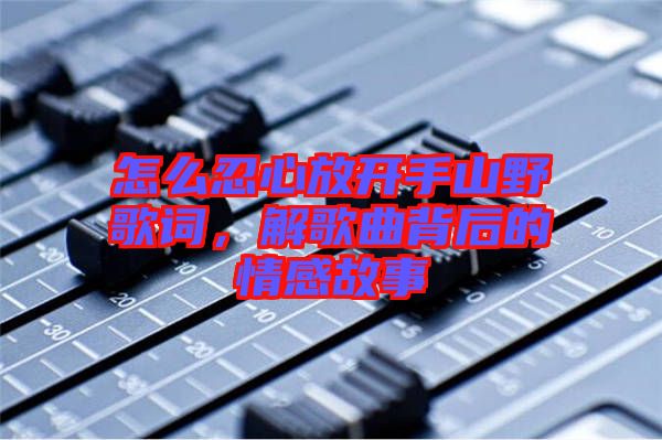 怎么忍心放開手山野歌詞，解歌曲背后的情感故事