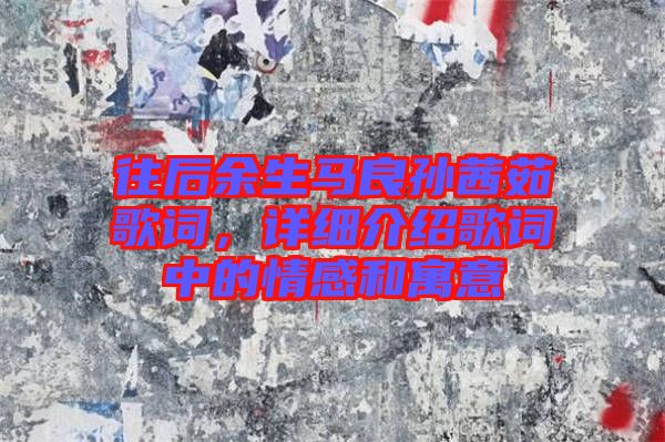 往后余生馬良孫茜茹歌詞，詳細介紹歌詞中的情感和寓意