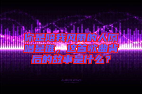 你是陪我風雨的人原唱是誰，這首歌曲背后的故事是什么？