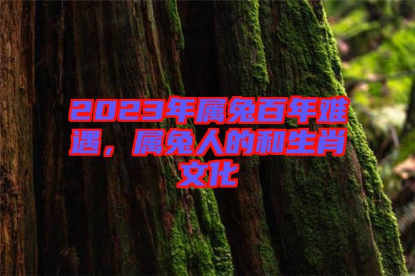 2023年屬兔百年難遇，屬兔人的和生肖文化