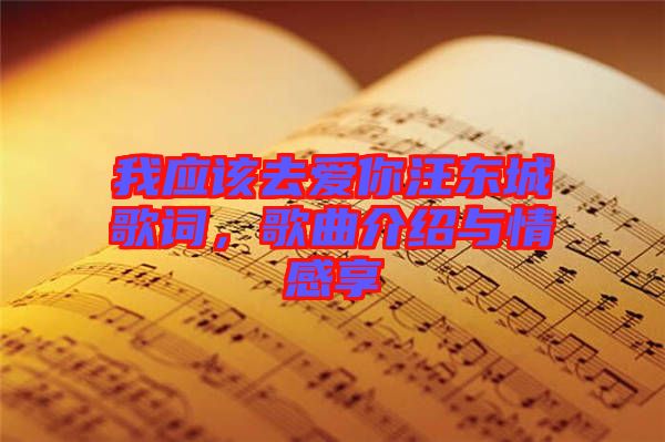 我應(yīng)該去愛你汪東城歌詞，歌曲介紹與情感享