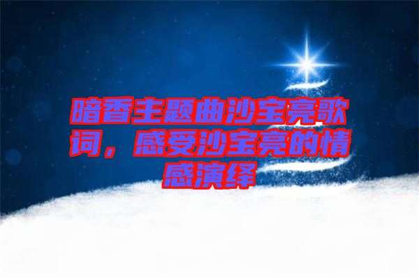 暗香主題曲沙寶亮歌詞，感受沙寶亮的情感演繹