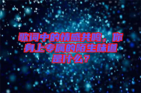 歌詞中的情感共鳴，你身上專屬的陌生味道是什么？