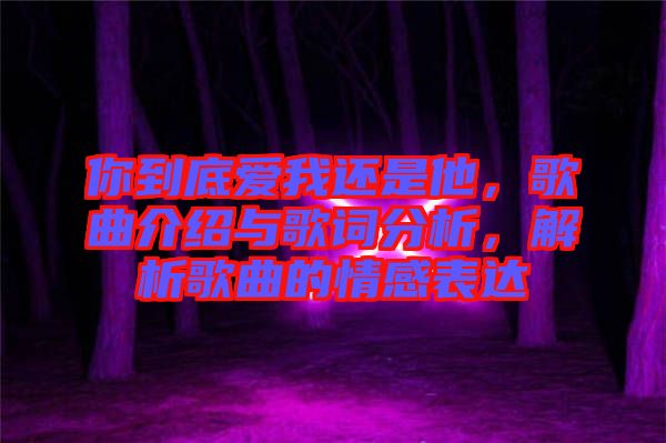 你到底愛(ài)我還是他，歌曲介紹與歌詞分析，解析歌曲的情感表達(dá)