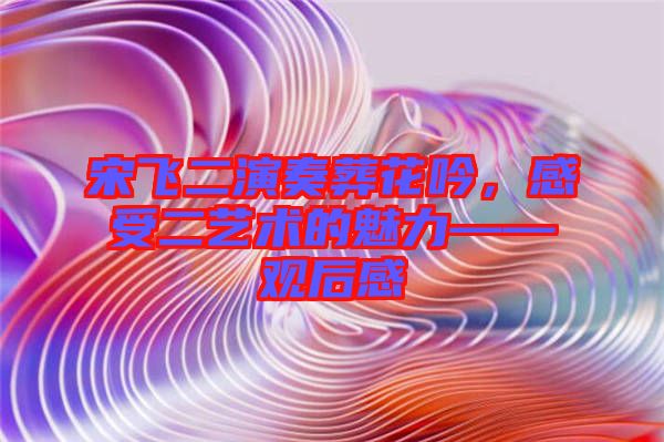 宋飛二演奏葬花吟，感受二藝術的魅力——觀后感