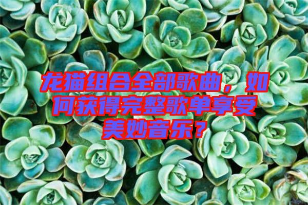 龍貓組合全部歌曲，如何獲得完整歌單享受美妙音樂(lè)？