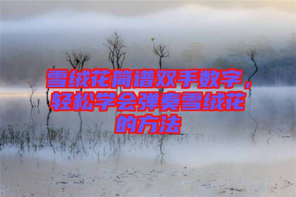 雪絨花簡譜雙手數(shù)字，輕松學(xué)會彈奏雪絨花的方法