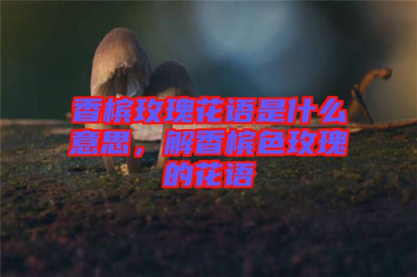 香檳玫瑰花語是什么意思，解香檳色玫瑰的花語