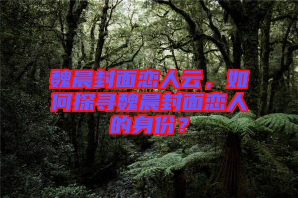 魏晨封面戀人云，如何探尋魏晨封面戀人的身份？