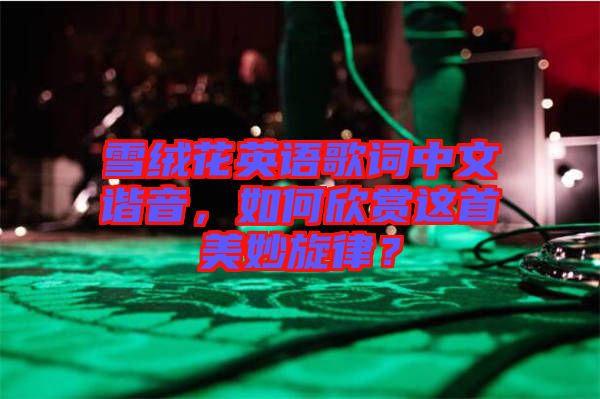 雪絨花英語歌詞中文諧音，如何欣賞這首美妙旋律？