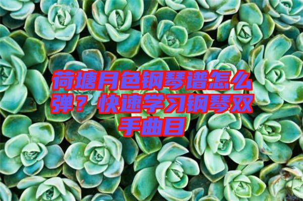 荷塘月色鋼琴譜怎么彈？快速學習鋼琴雙手曲目