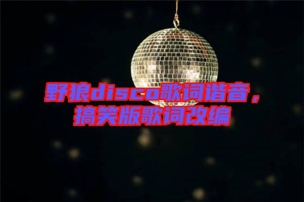 野狼disco歌詞諧音，搞笑版歌詞改編